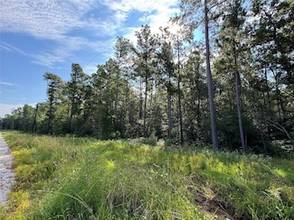 59-6-2 Stagecoach Cir, Huntsville, TX 77340