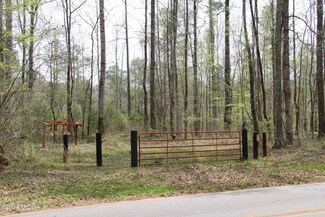 0 Jenkins Rd Unit 174436, Forsyth, GA 31029