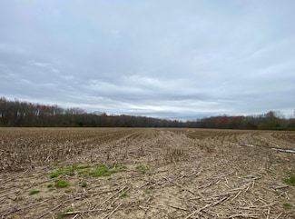 0 Moore Rd Unit 20245061, Bethel, OH 45106
