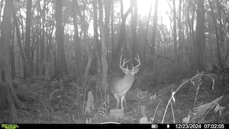 SW Mad 18 Rd, Madison, FL 32340