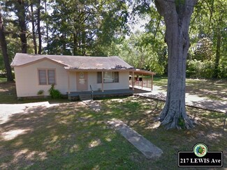217 Lewis Ave, Walnut Grove, MS 39189
