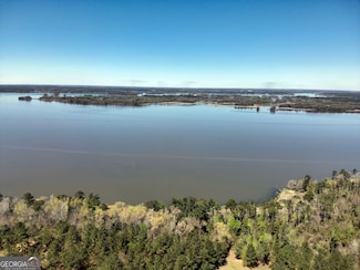 TBD LOT 29 Seminole Ridge S D, Bainbridge, GA 39817