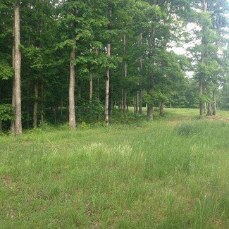 386 Barak Ln, Erin, TN 37061
