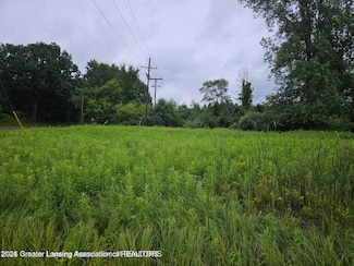 5494 N Williamston Rd, Williamston, MI 48895