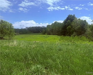 2864 Us Route 11, Mexico, NY 13131