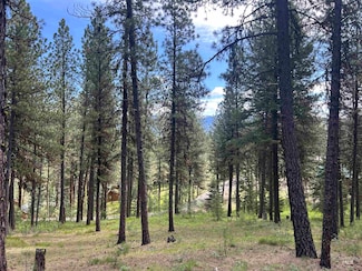 0 Syringa Dr Unit 98947820, New Meadows, ID 83654