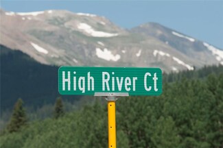 384 High River Ct, Alma, CO 80420