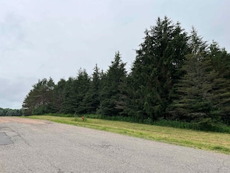 Lot 6 Sue Alan Dr, Wittenberg, WI 54499
