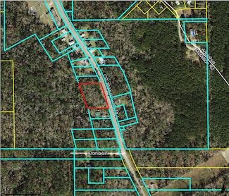 XXX Lincoln Dr, Chattahoochee, FL 32324