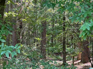 0 County Highway 9 Unit 1 1358862, Hayden, AL 35079