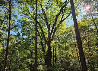 0 Duggar Mountain Rd Unit 25202444, Piedmont, AL 36272