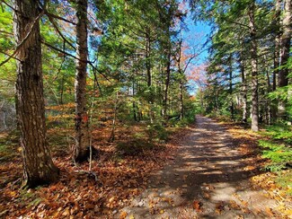 0 Sandy Beach Rd Unit 1608700, Beddington, ME 04622