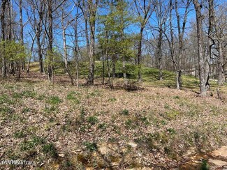 137 Brokenwood Ln, Crossville, TN 38558