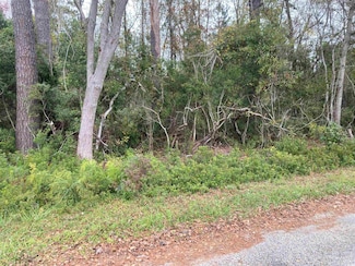 0 Golfview Cir, Johnsonville, SC 29555