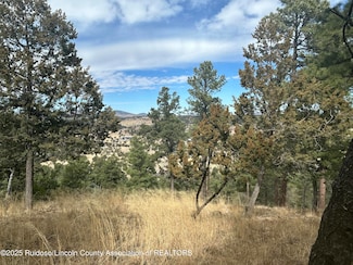 Lot 31E Flicker Ct, Alto, NM 88312
