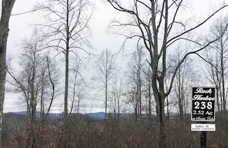 0 Lot 238 Tanzanite Unit 1076069, New Tazewell, TN 37825