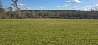 Lot 7&8 County Road 3339, Brundidge, AL 36010