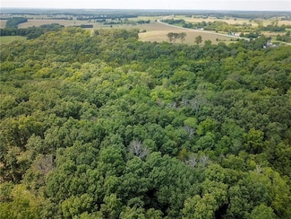 000 Highway 65, Cross Timbers, MO 65634