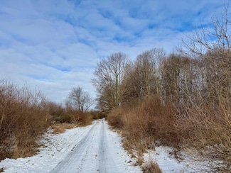 11000 W River Rd, Remus, MI 49340
