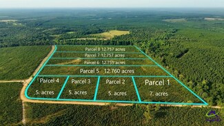 Parcel 4 Whipporwill Rd, Reynolds, GA 31076