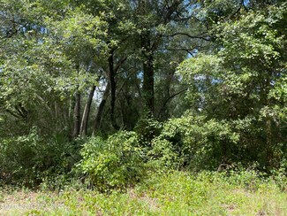 0 NE 171st Ave Unit 945012, Silver Springs, FL 34488