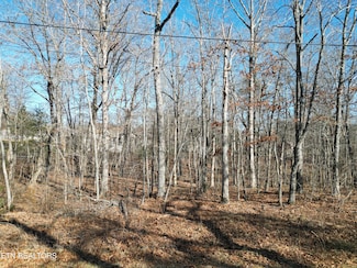 105 Chica Ct, Crossville, TN 38572