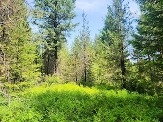 4711 X Springdale Hunters Rd, Springdale, WA 99173