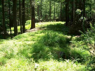 Blueberry Hill Rd, West Shokan, NY 12412