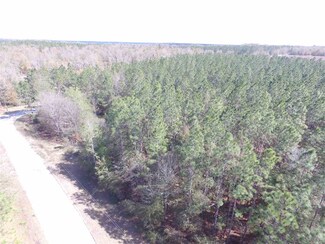 0 NE Condurango Ln Unit 278661, Lee, FL 32059