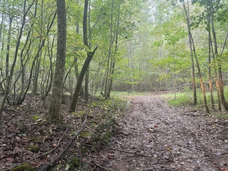 148 Sawmill Rd, Palmer, TN 37365