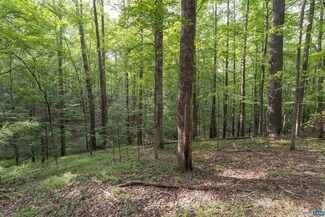 TBD Decca Ln, Charlottesville, VA 22901