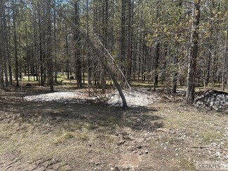 4098 Rainbow Dr, Island Park, ID 83429