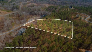 Lot 201 Ln, Ellijay, GA 30540