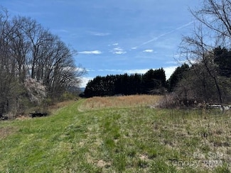 7 Pressley Branch Rd, Arden, NC 28704