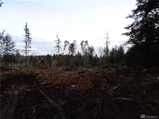0 182nd Ave Unit 1066704, Longbranch, WA 98349
