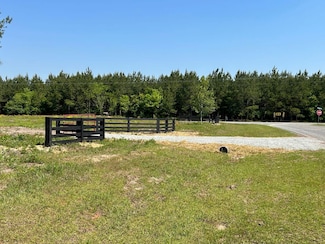 0 Dewey Thomas Rd Unit 20382548, Dexter, GA 31019