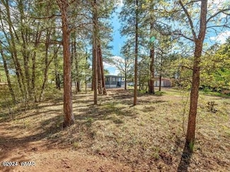 4072 S Gold Dust Trail, Show Low, AZ 85901