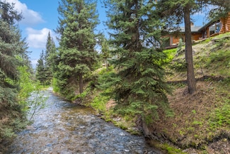 380 Morrell Creek Dr, Seeley Lake, MT 59868