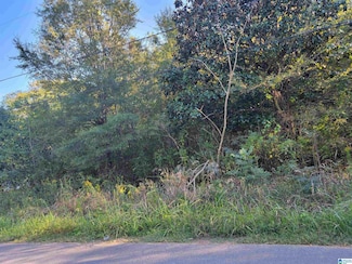 312 Pine St SW, Bessemer, AL 35022