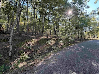 00 Gabriela Way, Hot Springs Village, AR 71909