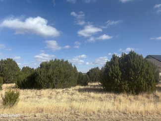 1956 Creekside Cir Unit 38, Show Low, AZ 85901