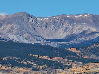 460 Bonell Dr, Fairplay, CO 80440