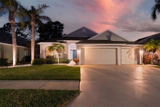 1771 Wood Brook St, Tarpon Springs, FL 34689