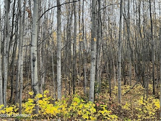 5082 S Horseshoe Lake Rd, Big Lake, AK 99654