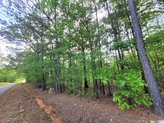 0000 Howells Cove Rd Unit 1, Talladega, AL 35160