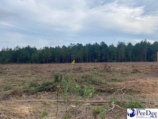 Lot 1-C Daniels Ln, Bennettsville, SC 29512