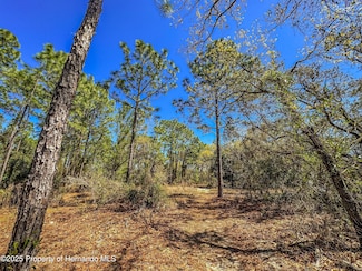 0 Sheffield Rd Unit 2252169, Spring Hill, FL 34608