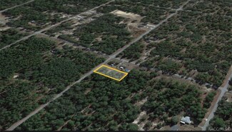 5924 Benedict Rd, Dunnellon, FL 34431