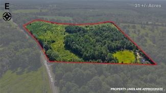 0 Anderson Rd, Red Level, AL 36474