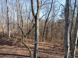 TBD Puckett Knob Rd, Abingdon, VA 24211